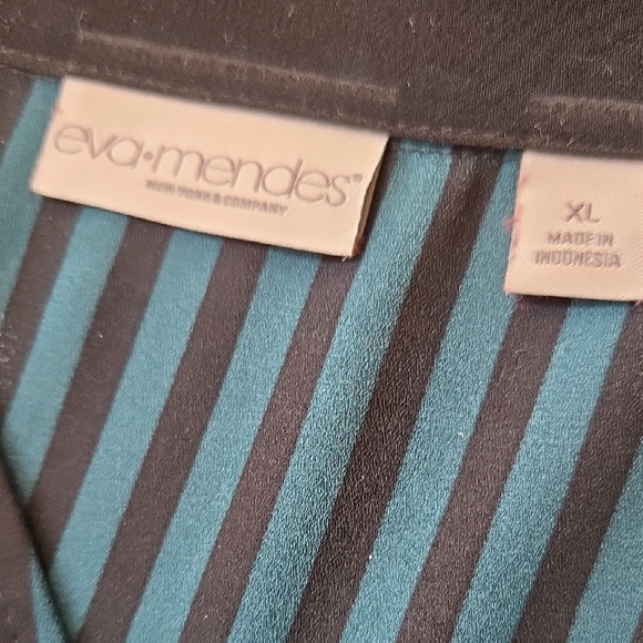 Eva Mendes for New York & Company Teal and Black Striped Dress - Picture 7 of 12